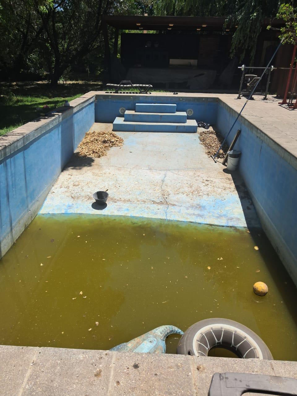 Piscina abandonada con agua verde y revestimiento deteriorado antes de la renovación